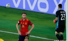 九游娱乐网页版入口-关于瑞典逼平西班牙，晋级形势良好的信息