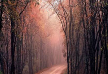 北京人和客场大胜河南建业，提振保级信心