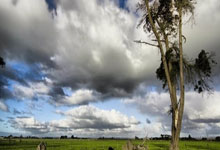 台湾乌龙揭出胜负真相，死神刚捂面具就露真容