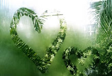 广西男篮寻求突破：从困境中的希望与未来