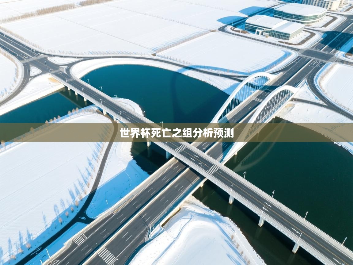 世界杯死亡之组分析预测 第1张