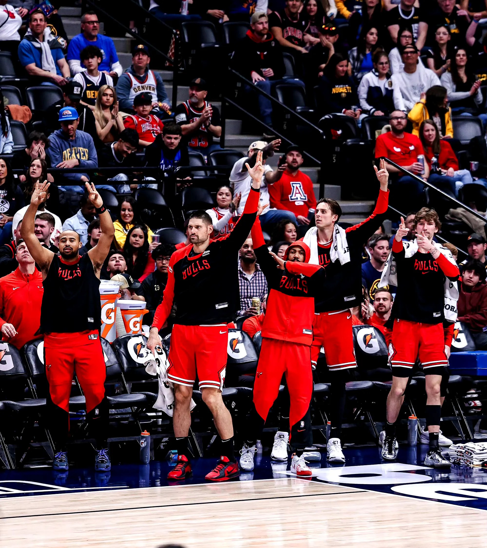 包含公牛队技术精湛，战术着实令人眼花缭乱的词条